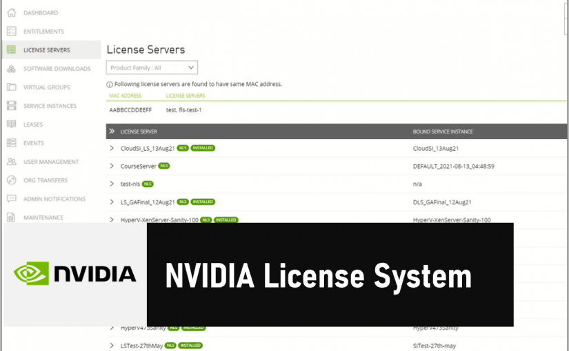 NVIDIA License System